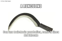 A runculino