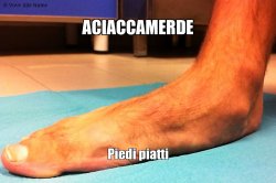 Aciaccamerde