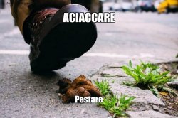 Aciaccare