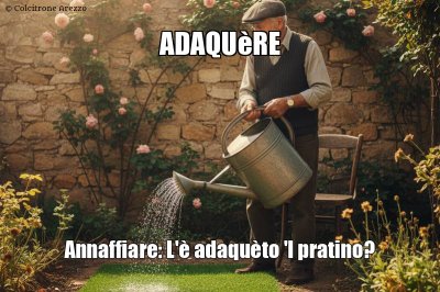 Adaquère