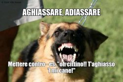 Aghiassare, Adiassare