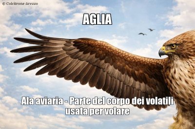 Aglia