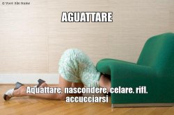 Aguattare