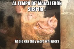 Al tempo de' maiali eron suspiri ..
