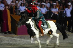 GIOSTRA giugno 2008