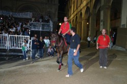 PROVACCIA giovedi 17