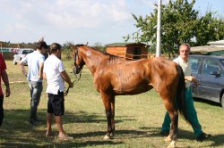 28 08 2010 (151)