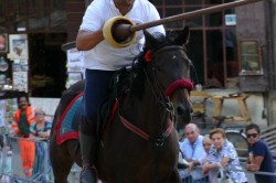 31 08 2010 (208)