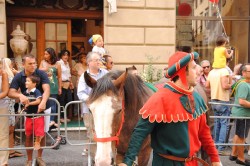 Dsc 0210