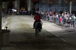 20 06 2012 (303)