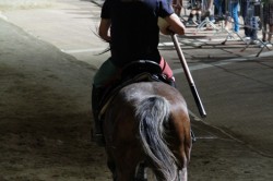 20 06 2012 (316)