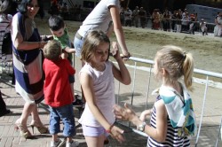 20 06 2012 (120)