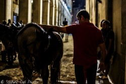 Dsc0017web