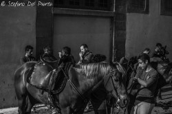 Dsc0010web