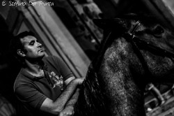 Dsc0020web