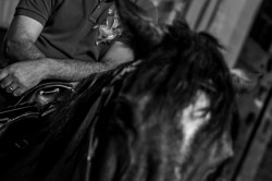 Dsc0021web