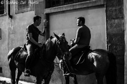 Dsc0026web