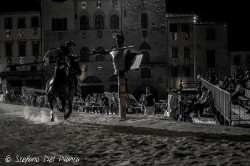 Dsc0178web