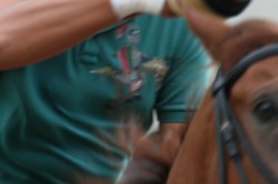 28 08 2013 013
