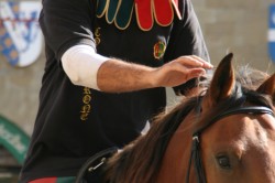 Prove giovedi 29