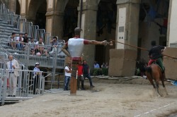 26 08 2013 (226)