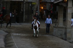 30 08 2013 (278)