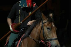 GIOSTRA giugno 2014