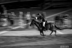 18062014  mg 3104 20140619 1567838030