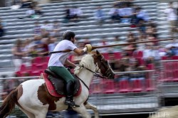 7d 3631 20140906 1221292279