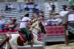7d 3632 20140906 1929197017