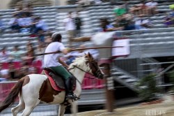 7d 3633 20140906 1314155238