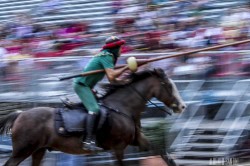 7d 3647 20140906 1664088163