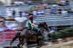 7d 3654 20140906 1224661458
