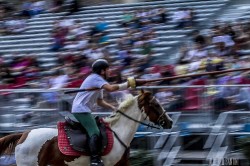 7d 3660 20140906 1264026786
