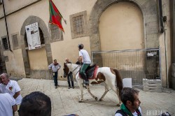 Img 3907 20140906 1643779386