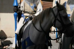 06 09 2015 238 20151212 1286810567