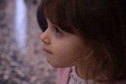 Dsc 5783 20151222 1072076801