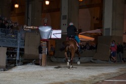 Prove titolari domenica 12