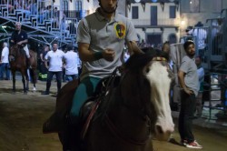PROVACCIA giovedi 15