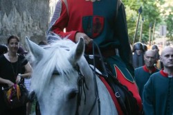 GIOSTRA giugno 2017