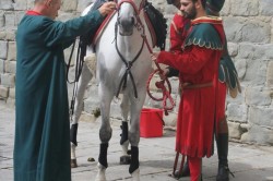 Domenica di Giostra 3 settembre 2017