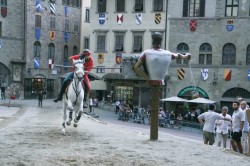 Img 0064