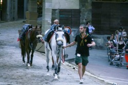 Img 0148