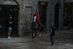 GIOSTRA settembre 2017