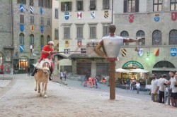 Img 0210