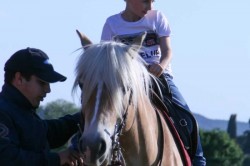 Nuovo Campo Prova 27 maggio