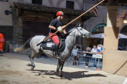 Prove domenica 17