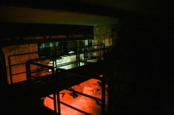 2017 09 01 fortezza117)