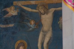 2019 06 15 estrazione carriere 199