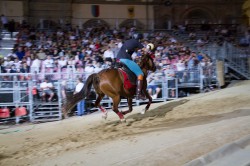Prove giugno 2019
